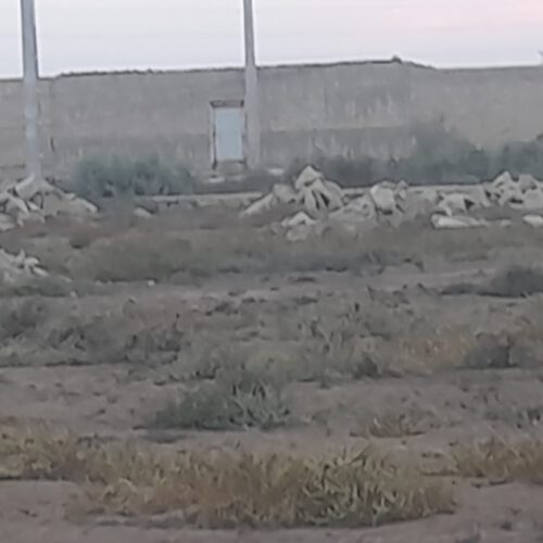 زمین