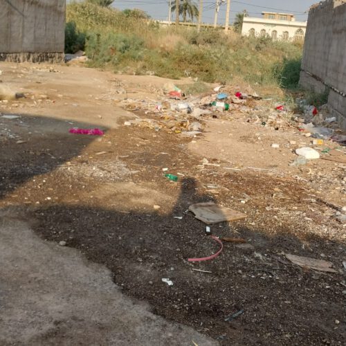 زمین
