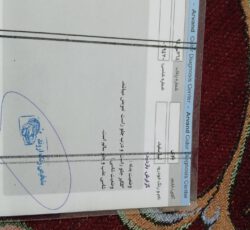 تیبا2مدل 1400