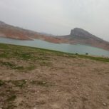 زمین