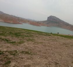 زمین