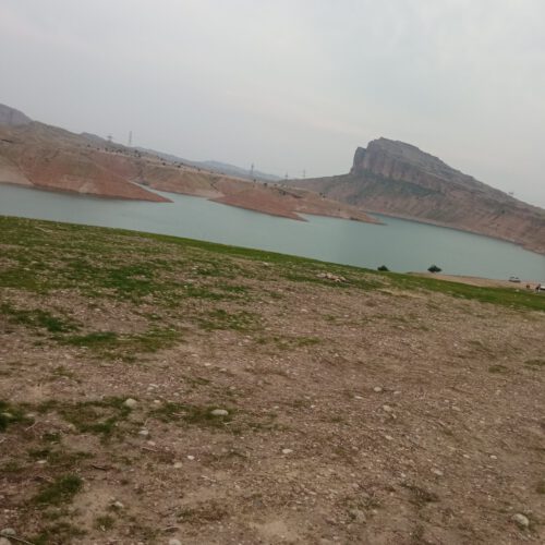 زمین