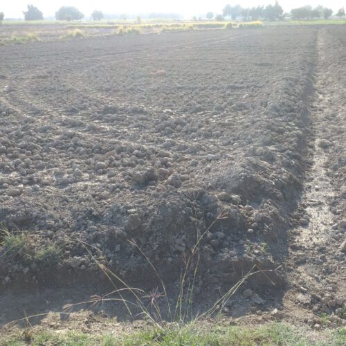 1250متر، زمین ویلایی ،جای خوب ،قیمت مناسب ،معاوضه با ماشین یا تراکتور میشود