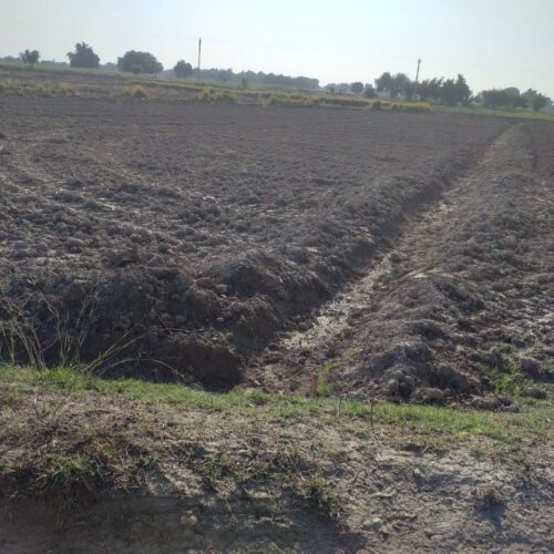 1250متر، زمین ویلایی ،جای خوب ،قیمت مناسب ،معاوضه با ماشین یا تراکتور میشود