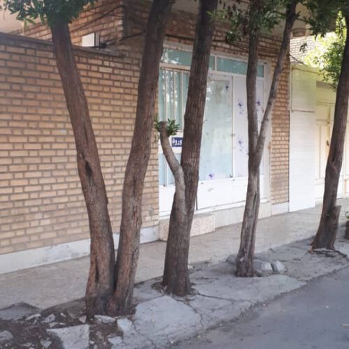 فروش خانه ویلایی تجاری