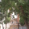 فروش خانه ویلایی تجاری